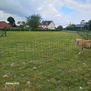 Photo de galerie - Tonte d'une pâture