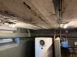 Photo de galerie - Un voisin allait faire réaliser un DPE et pour éviter des éventuelles anomalies, nous avons mis en place des luminaires dans toute sa cave 