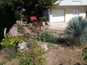 Photo de galerie - Jardinier
