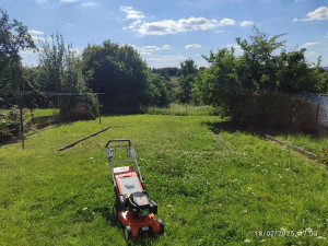 Photo de galerie - Tonte de pelouse - Débroussaillage