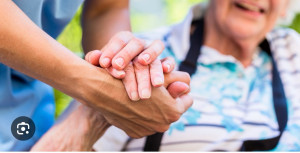 Photo de galerie - Collecte/ livraison des linges