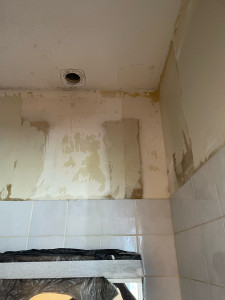 Photo de galerie - Peinture - Tapisserie