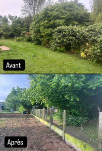 Photo de galerie - Suppression de haie