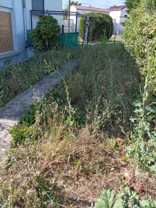Photo de galerie - Jardin avant 