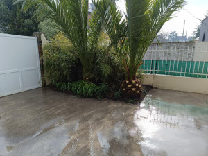 Photo de galerie - Taille de haies et d'arbustes