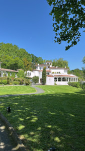 Photo de galerie - Tonte de pelouse 