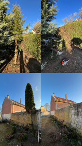Photo de galerie - Coupe d’arbre 