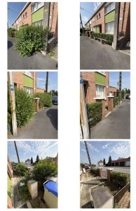 Photo de galerie - Taille de troène 