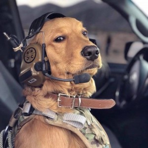 Photo de galerie - 00zzzzzzzzzzzz