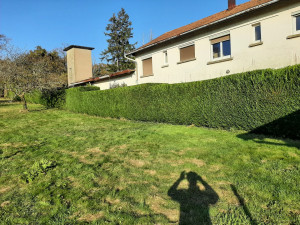 Photo de galerie - Taie de haie en escalier