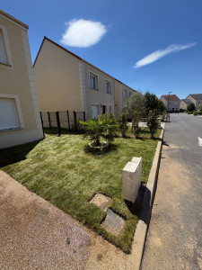 Photo de galerie - Gazon de placage 