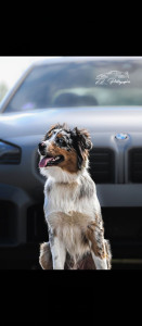 Photo de galerie - Il prend la pose ??