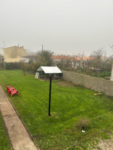 Photo de galerie - Tonte de pelouse - Débroussaillage