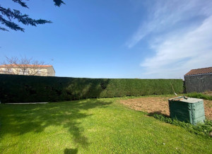 Photo de galerie - Taille d’une haie de Leylandii