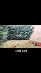 Photo de galerie - Jardinier