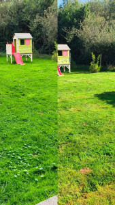 Photo de galerie - Avant/après tonte et désherbage 