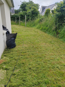 Photo de galerie - Entretien tonte de la pelouse 