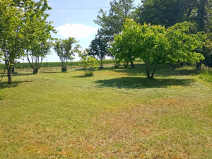 Photo de galerie - Terrain après intervention 