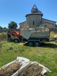 Photo de galerie - Elagage et coupe d'arbres