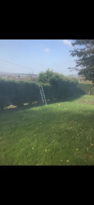 Photo de galerie - Taille d'une haie