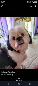 Photo de galerie - Mon petit cœur qui n'est plus avec moi.....
depuis je n'ai pas voulu en racheter un autre.
Trop douloureux....??