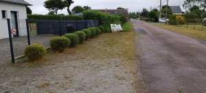 Photo de galerie - Débroussaillage, désherbage et taille de buisson 