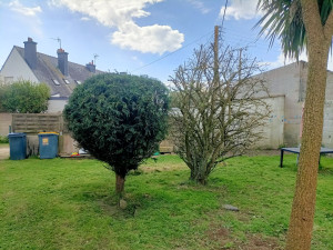 Photo de galerie - Taille et débroussaillage 