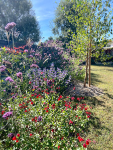 Photo de galerie - Aménagement de jardin 