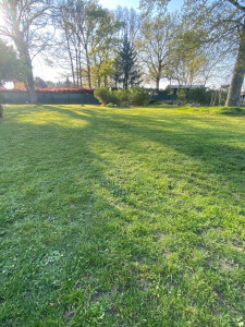 Photo de galerie - Tonte de 2000m2