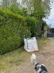 Photo de galerie - Taille de haies et d'arbustes