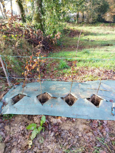 Photo de galerie - Jardinier