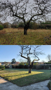 Photo de galerie - Nettoyage et entretien complet 