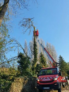 Photo de galerie - élagage a haut risque avec nacelle toute hauteur

