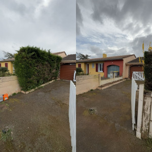 Photo de galerie - Abattage de la haie pour une mise en place d’une nouvelle séparation avec le voisin