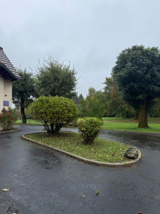 Photo de galerie - Remise en état d’arbuste 