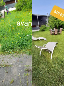 Photo de galerie - Tonte de pelouse - Débroussaillage