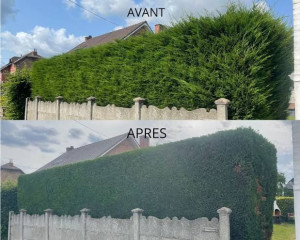 Photo de galerie - Jardin / Espace vert
