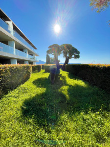 Photo de galerie - Tonte de pelouse - Débroussaillage