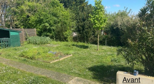 Photo de galerie - Tonte de pelouse - Débroussaillage