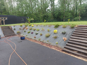 Photo de galerie - Végétalisation d'un talus 