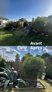Photo de galerie - Taille de haies et d'arbustes