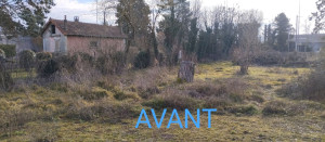 Photo de galerie - Débroussaillage et taille d'arbustes 