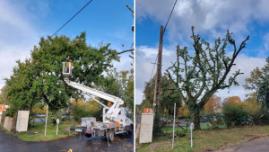 Photo de galerie - élagage et coupe d’arbres