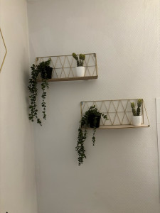 Photo de galerie - Pose étagères