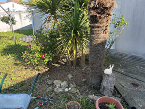 Photo de galerie - Désherbage 