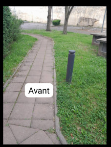 Photo de galerie - Tonte de pelouse - Débroussaillage