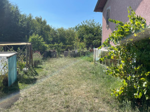 Photo de galerie - Tonte de pelouse - Débroussaillage