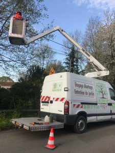 Photo de galerie - Paysagiste - Aménagement du jardin