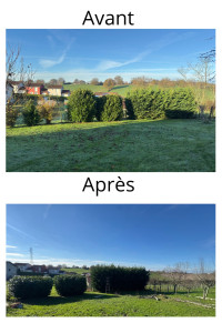 Photo de galerie - Taille de haies + réduction de volume, nettoyage complet du terrain et abattage de deux arbres pour dégager la vue et remettre le jardin en ordre. Un extérieur plus propre, plus lumineux, et un résultat net comme il faut.  .