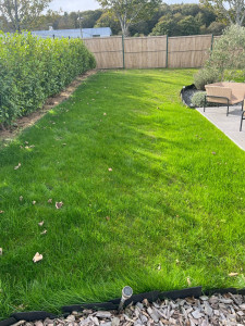 Photo de galerie - Regarnissage gazon